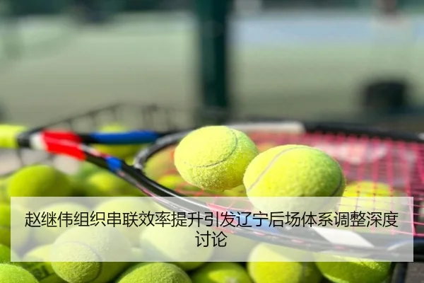 赵继伟组织串联效率提升引发辽宁后场体系调整深度讨论