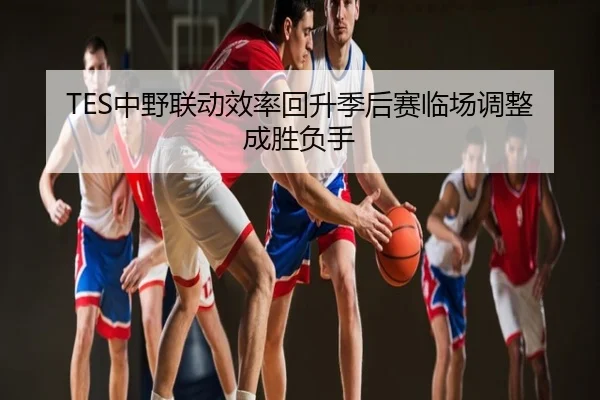 TES中野联动效率回升季后赛临场调整成胜负手